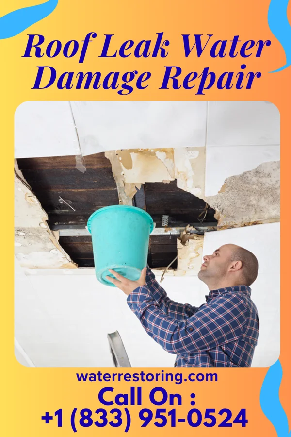 Roof Leak Water Damage Repair in Sequoia Crest, CA